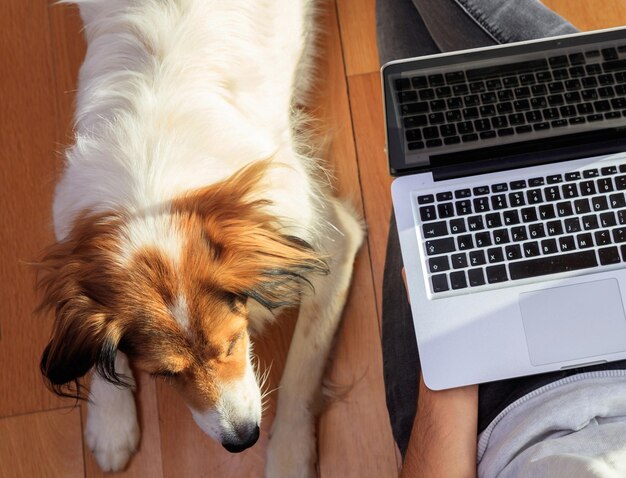 Foto werk thuis man werkt op de vloer met de hulp van zijn hond