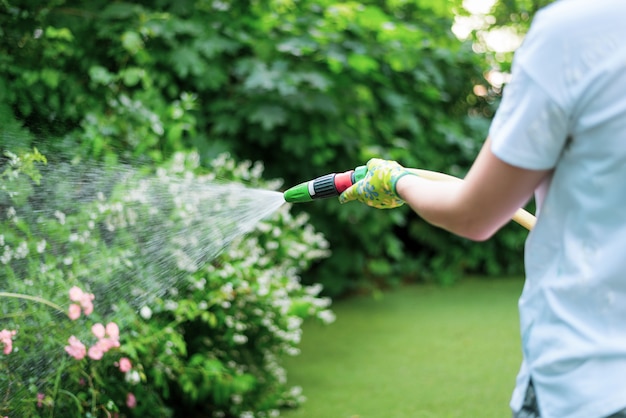 Werken drenken tuin van slang. Hand tuinslang met waternevel, drenken bloemen, close-up, waterspatten, landschapsontwerp