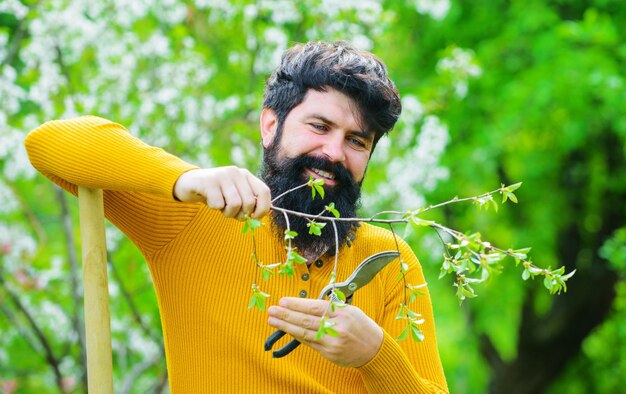 Werken in de tuin bebaarde man met tuinschaar tuinman trimmen planten lente snoeien boom