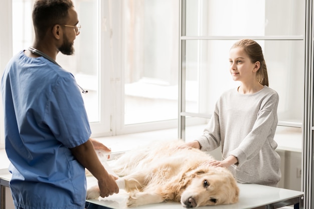 Werken in dierenklinieken