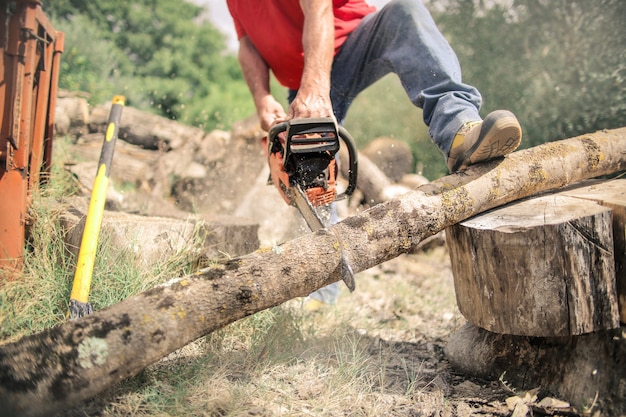 Werken in het bos