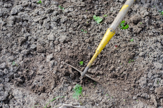 Werken met een schoffel en handen in de tuin