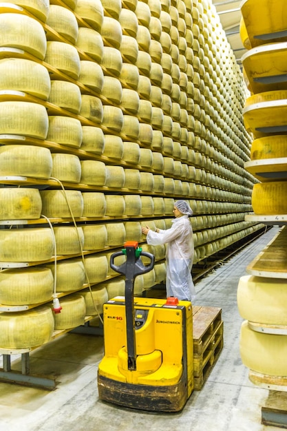 Werknemer inspecteert kaas in de schappen van de parmigiano-kaasfabriek met het verouderen van kaas in bologna . italië