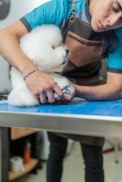 Werknemer knipt de nagels van een hond op een tafel in een dierensalon