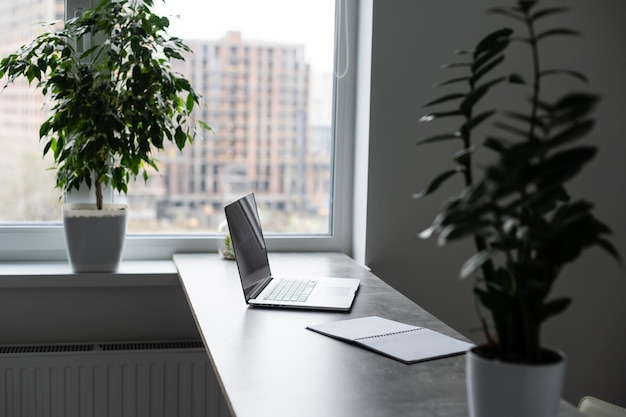 Werkplek op grijze tafel met laptopcomputer groene bloem rode stoel en potloden in modern kantoorinterieur met groot raam op achtergrond