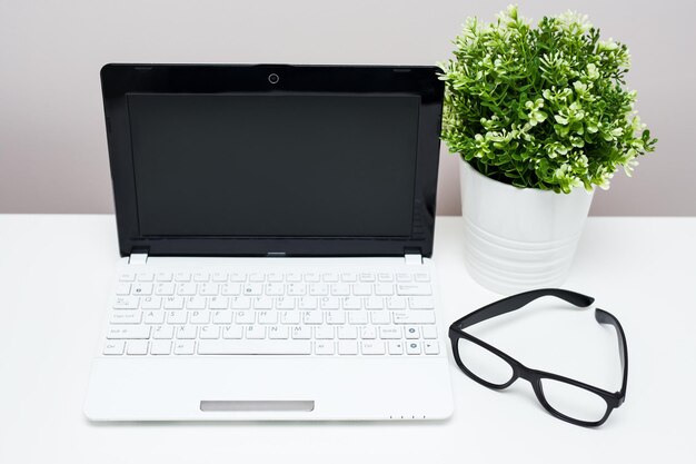 Werkplek thuis of op kantoor - laptop, bril en plant in de pot op tafel