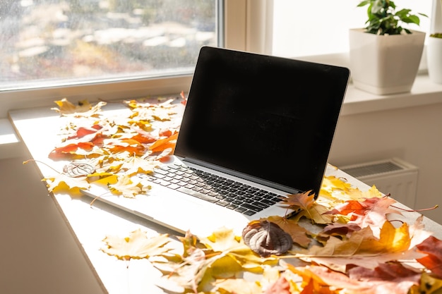 Foto werkruimte met gele en rode esdoorn bladeren. desktop met laptop, gevallen bladeren op grijze houten achtergrond