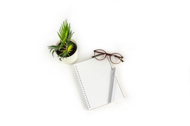 Werkruimtetafel met notitieboekje, pen, glazen, geïsoleerde houseplant