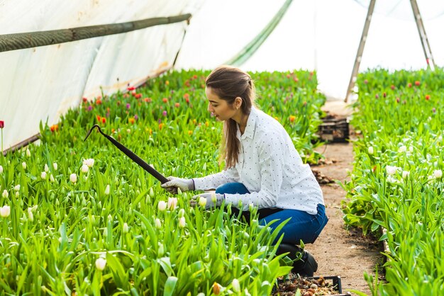 Werkster graaft bloemen in de kas