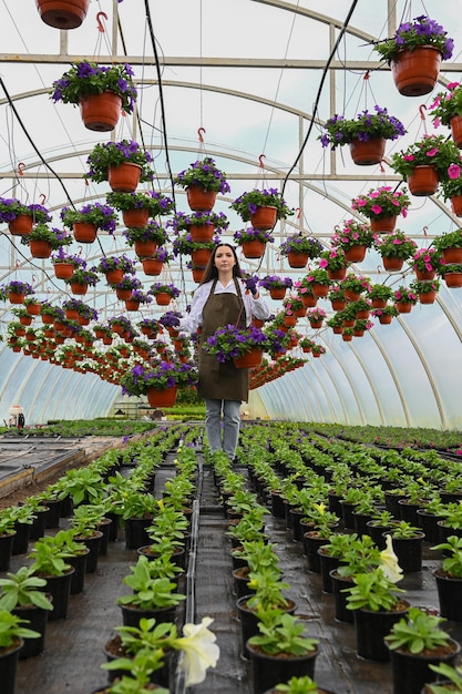 Werkster in een plantenkwekerij een kas met hangende potten en plantzaailingen bloemzaailingen kweken