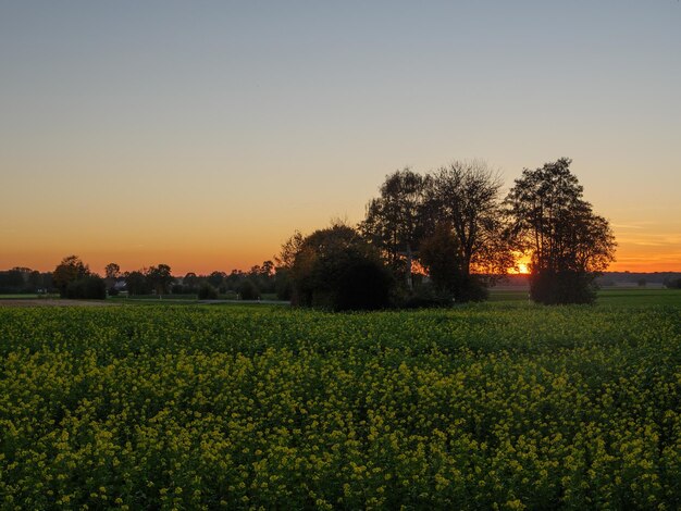 weseke in the german munsterland