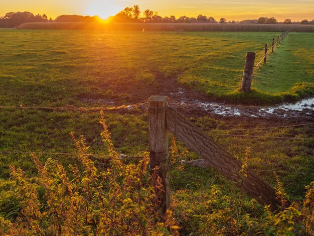 weseke in the german munsterland