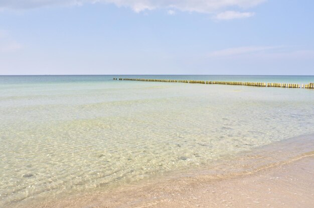 バルト海のビーチの西のビーチ詳細と織り目加工の静物美しいスポット