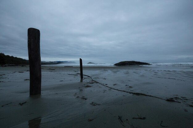 West Coast Pacific Ocean Sandy Beach Background