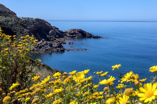 West coast of sardinia italy