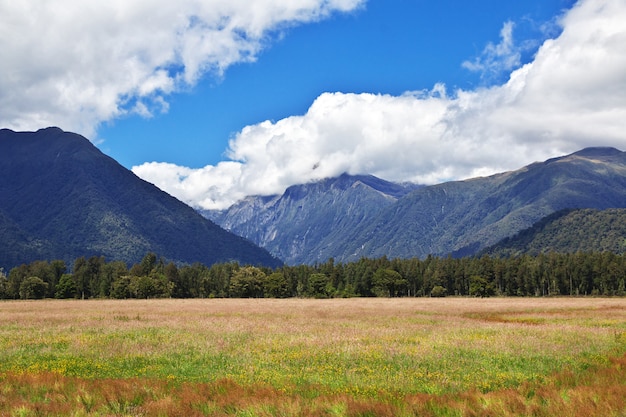 West coast on the South island, New Zealand