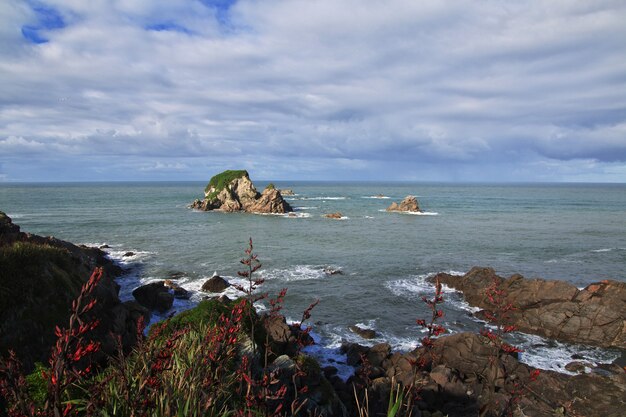 Foto la costa occidentale dell'isola del sud, nuova zelanda