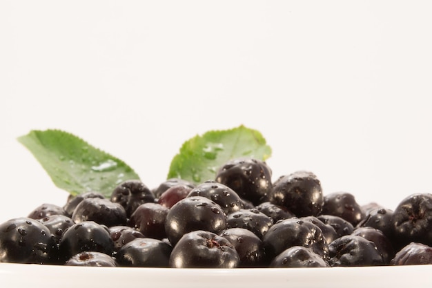 Photo wet aronia in white bowl