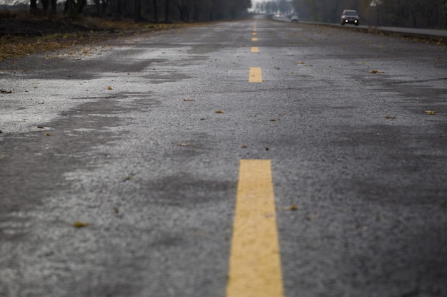 Wet autumn road. Autumn leaves. Danger.