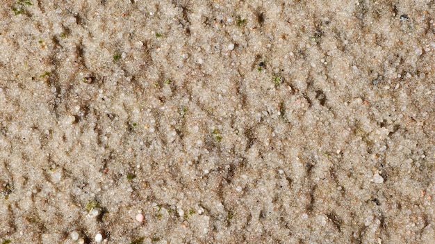 Wet beach sand texture closeup