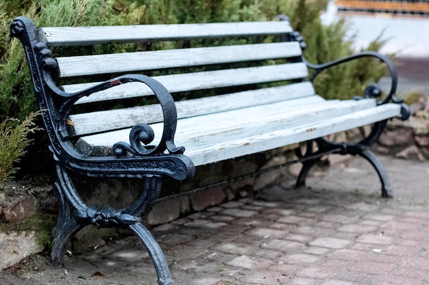 Wet bench in the autumn park closeup