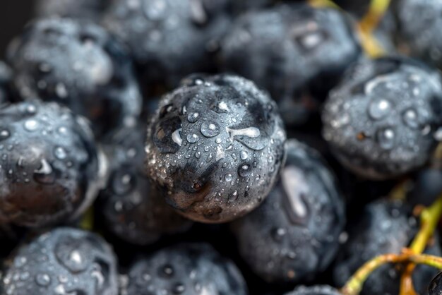 Wet black and blue grapes on the table