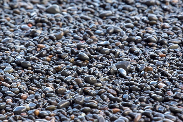 Foto ciottoli scuri bagnati e rocce sulla costa dell'oceano