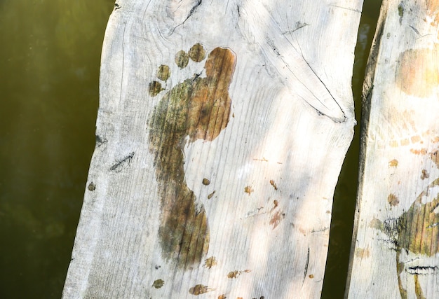 Wet footprint on wooden bridge. Summer rustic photo.