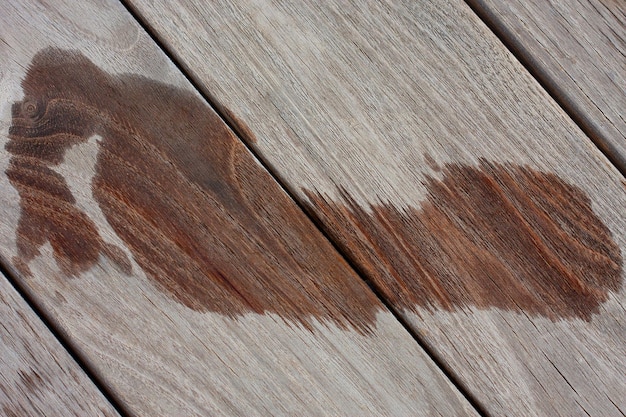 Wet footprint on a wooden parquet