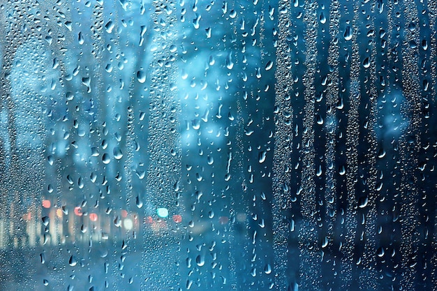 Wet glass view of branches park autumn, abstract background\
drops on the window evening november