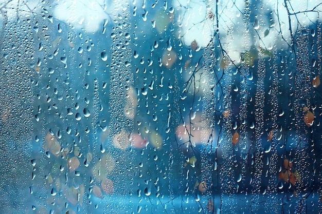 Wet glass view of branches park autumn, abstract background\
drops on the window evening november