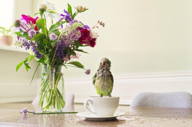 Wet green parrot bathing in cup bird enjoying bath pet quaker parrot on table