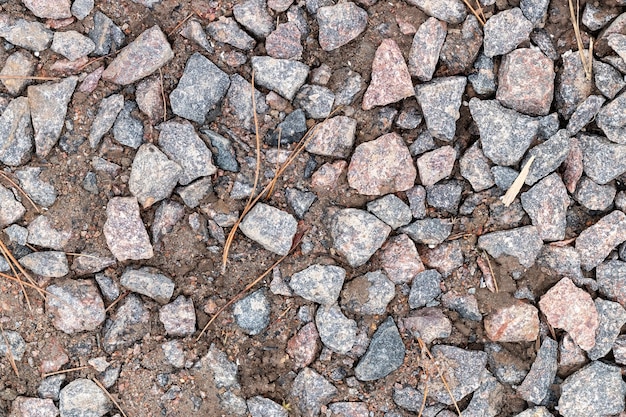 花崗岩の石と乾燥した松葉がたくさんある湿った湿った地面