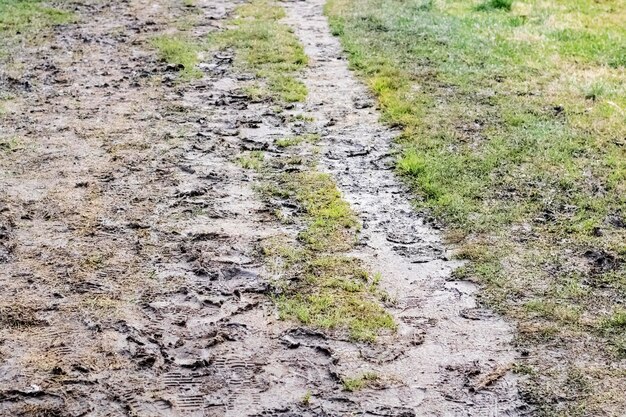 黄色の葉のある小道の湿った泥