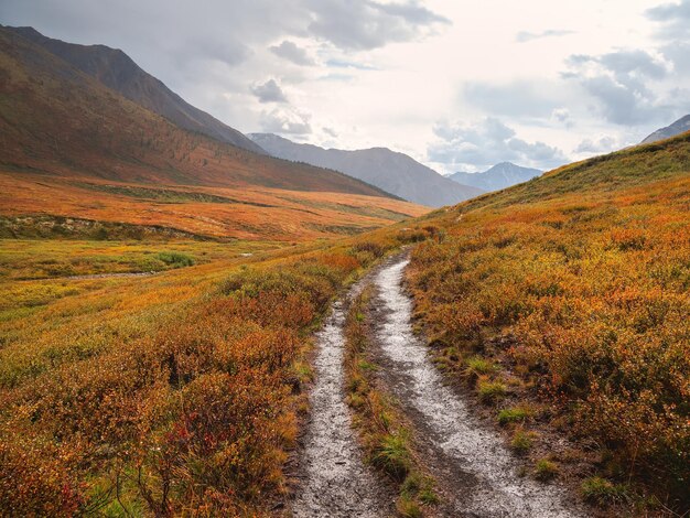 Wet off road through the rainy summer mountain plateau Terrible thunderclouds have hung over the autumn valley The sky before a thunderstorm with thunderclouds