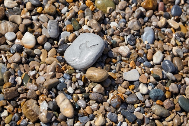 해변에 젖은 자갈. 다양한 크기와 색상의 매끄러운 돌