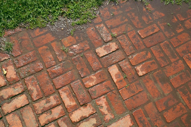 Wet red brick floor and some grass on the floor