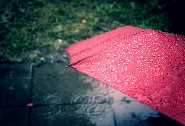 Wet red umbrella during rainy season