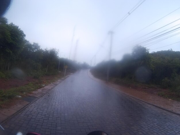 Wet road amidst trees against sky