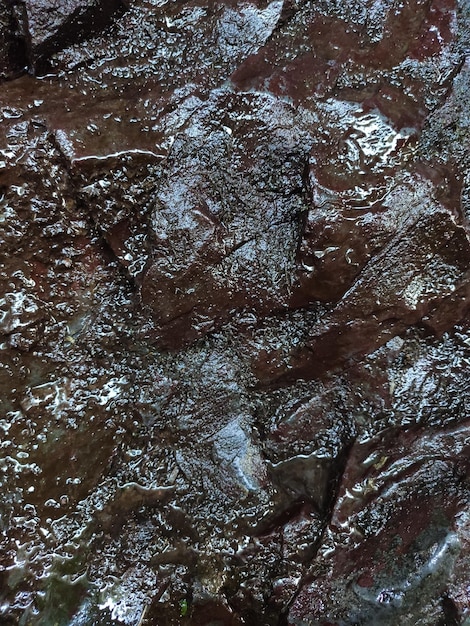 Foto sfondo verticale roccioso di colore marrone umido e ruvido
