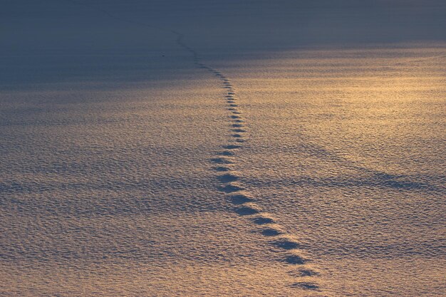 Photo wet sand against sky during sunset