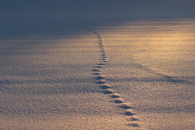 Wet sand against sky during sunset