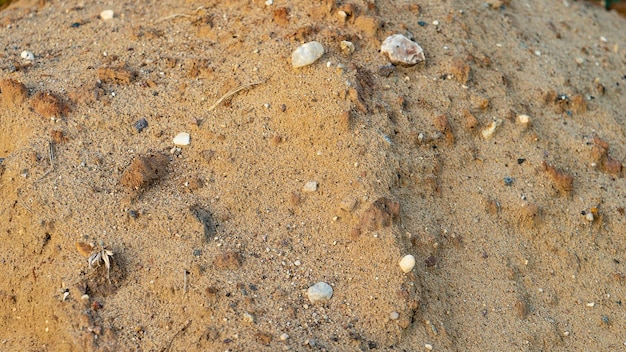 Mucchio di sabbia bagnata con piccole rocce alla macro della luce del tramonto