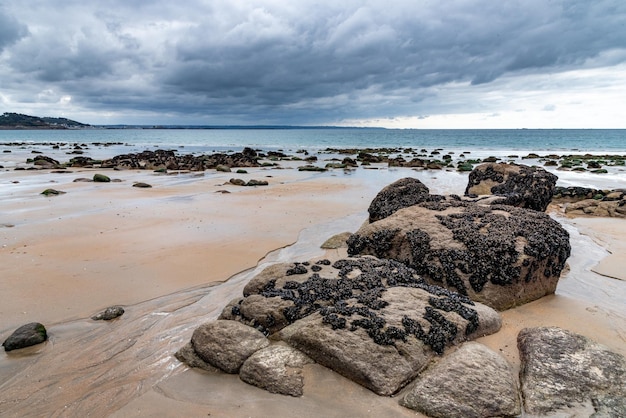 The wet sand and musselcovered rocks are visible at low tide on a beach in northern Brittany