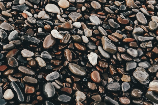 Wet sea pebbles on the beach