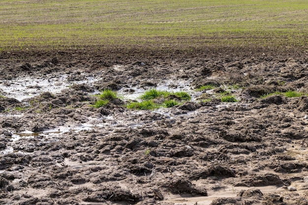 Photo wet soil mud on an agricultural field