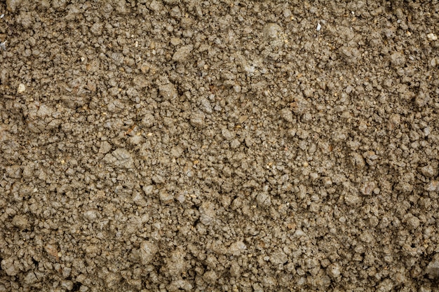 Wet soil texture. - vintage background.