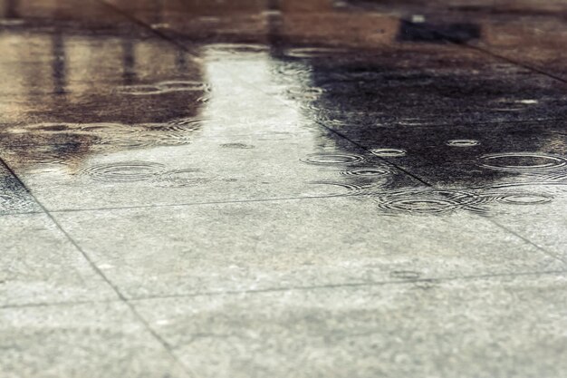 Photo wet walkway in park after rain