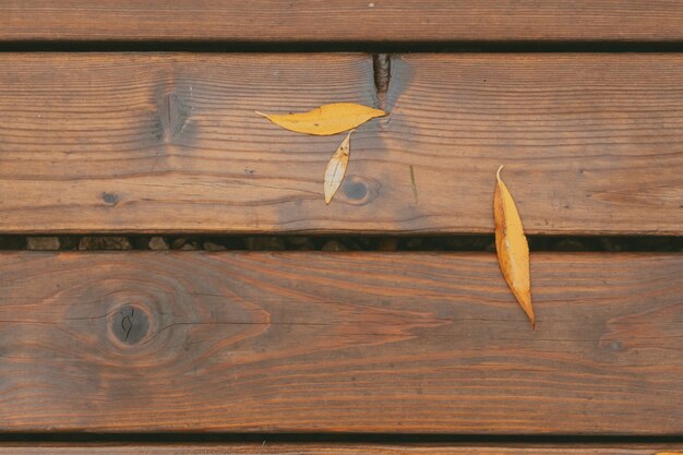 Wet wood floor after rain. Wooden background with autumn leaves. Autumn theme