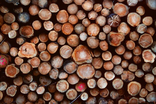 Wet wood logs in the autumn wallpaper